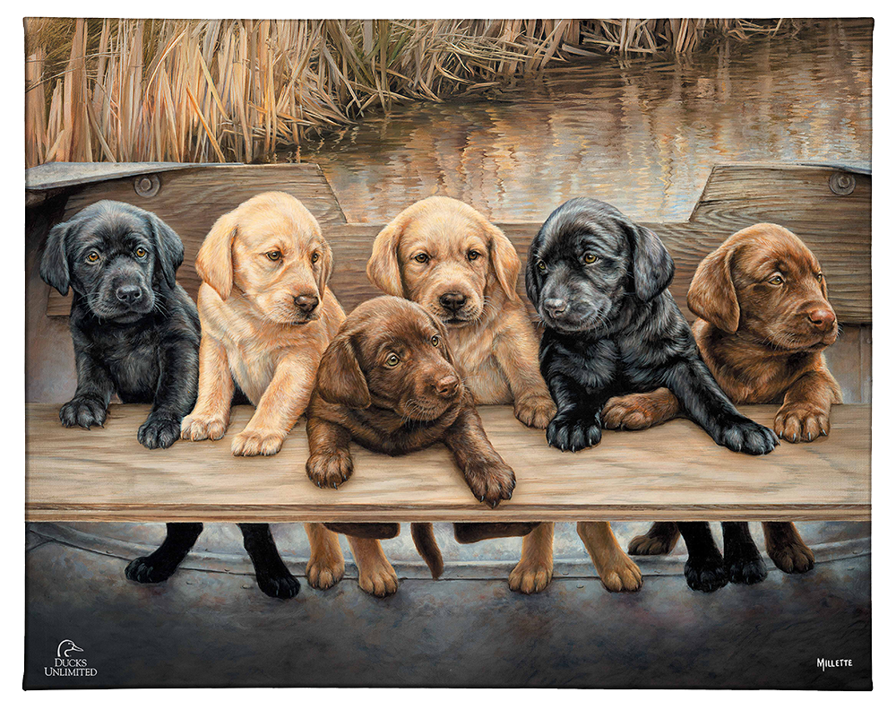 More Hands on Deck Gallery Wrapped Canvas - Official Ducks Unlimited Art