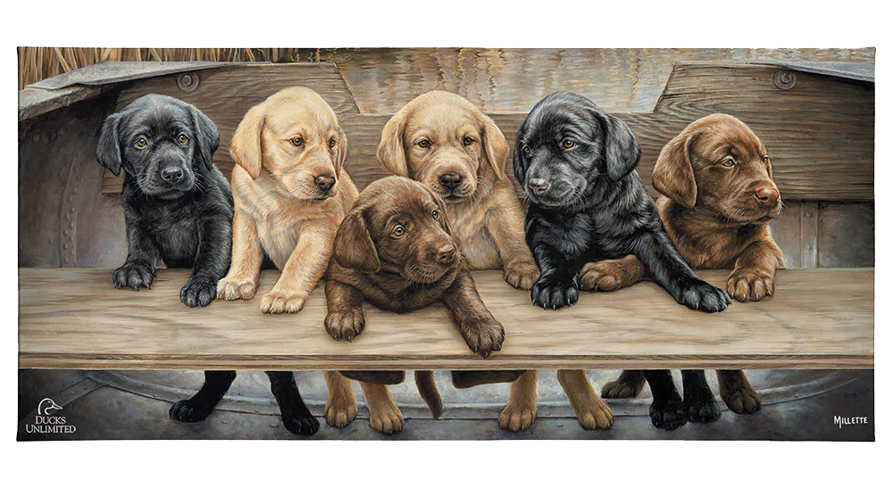 More Hands on Deck Gallery Wrapped Canvas - Official Ducks Unlimited Art