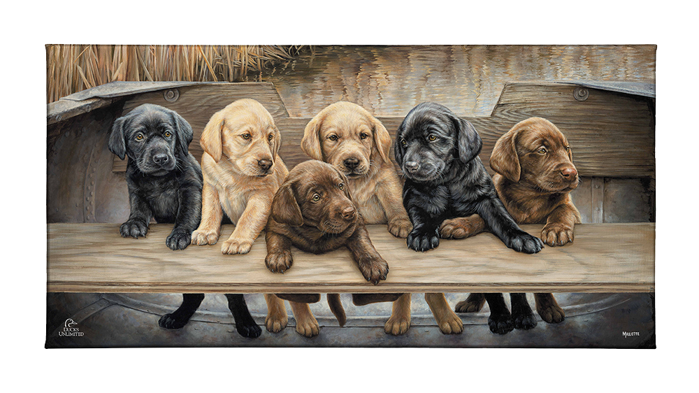 More Hands on Deck Gallery Wrapped Canvas - Official Ducks Unlimited Art