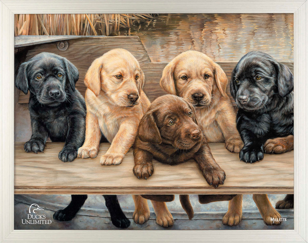 More Hands on Deck Art Prints - Official Ducks Unlimited Art
