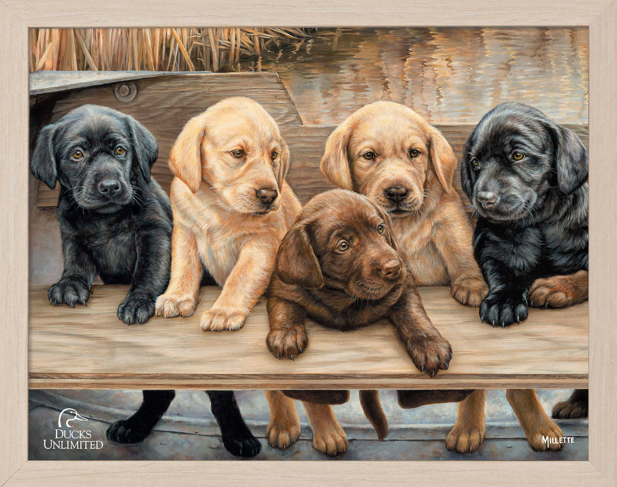 More Hands on Deck Art Prints - Official Ducks Unlimited Art