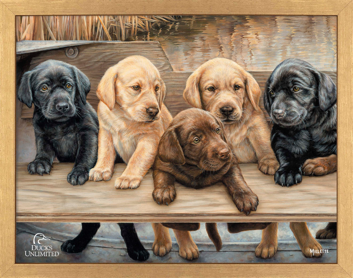 More Hands on Deck Art Prints - Official Ducks Unlimited Art