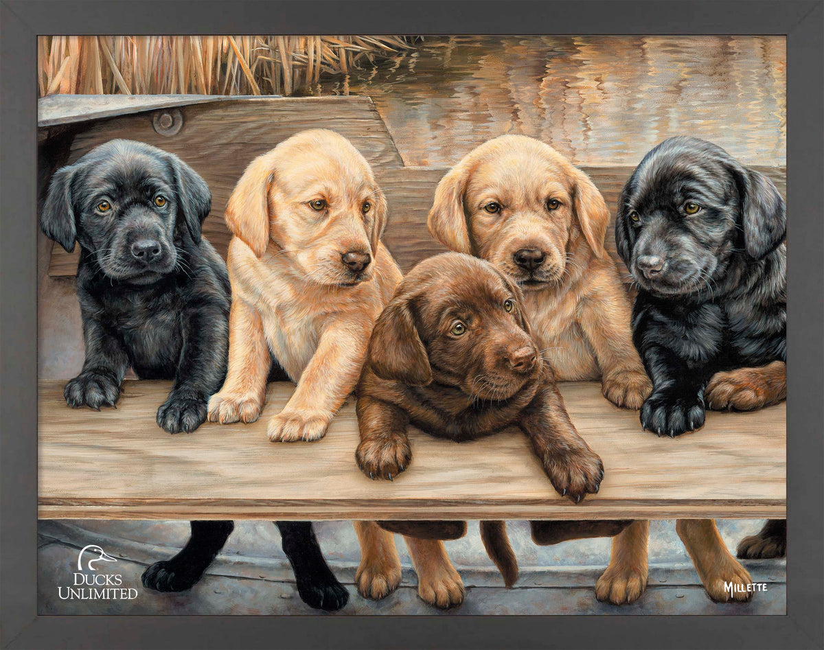 More Hands on Deck Art Prints - Official Ducks Unlimited Art