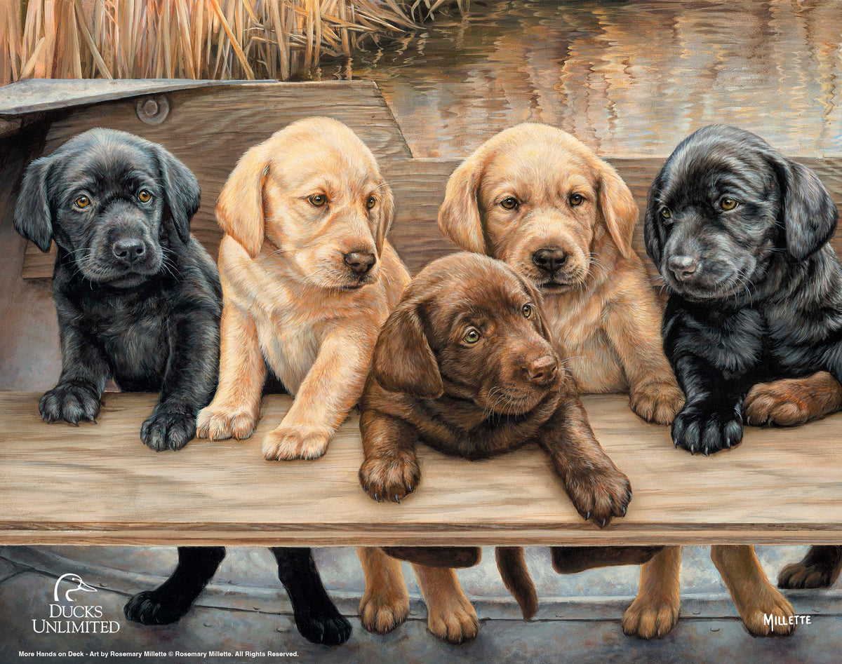 More Hands on Deck Art Prints - Official Ducks Unlimited Art