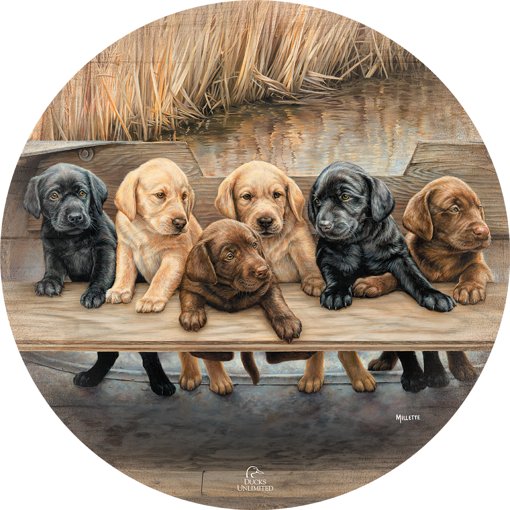 More Hands on Deck 21" Round Wood Sign - Official Ducks Unlimited Art