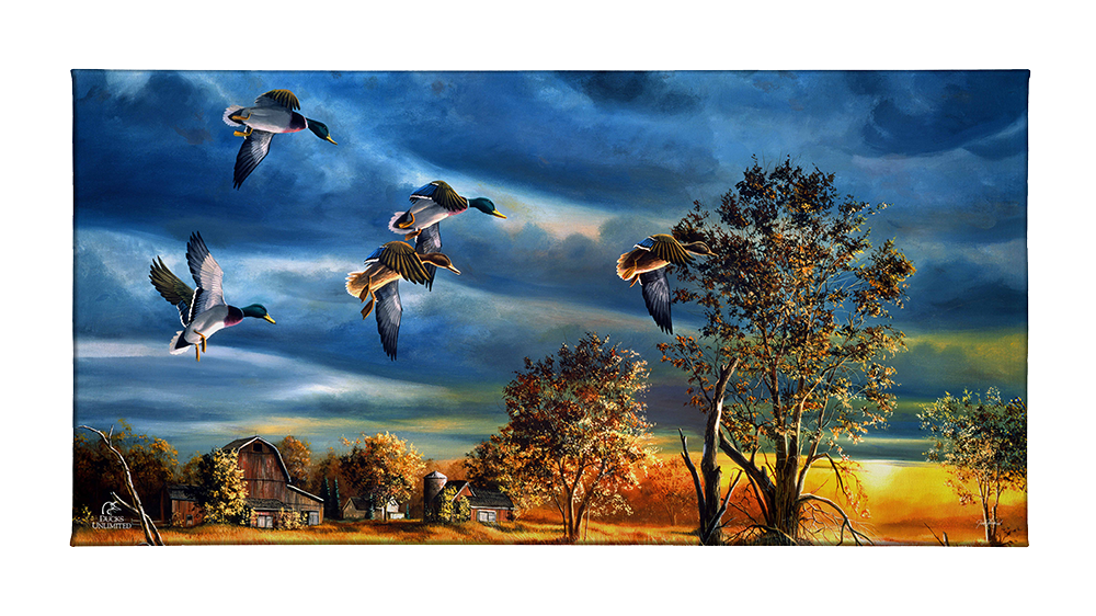 Morning Mallards Gallery Wrapped Canvas - Official Ducks Unlimited Art