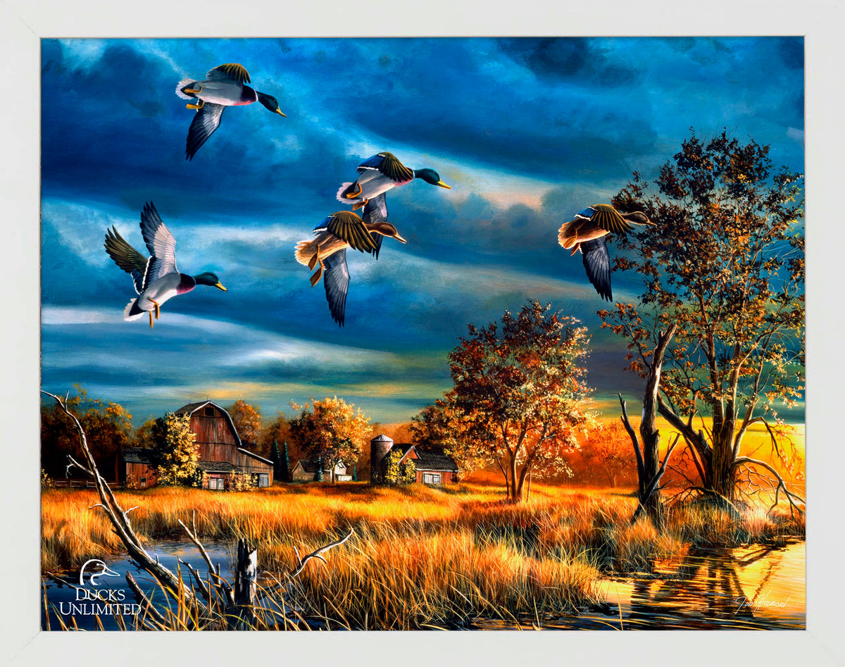 Morning Mallards Art Prints - Official Ducks Unlimited Art