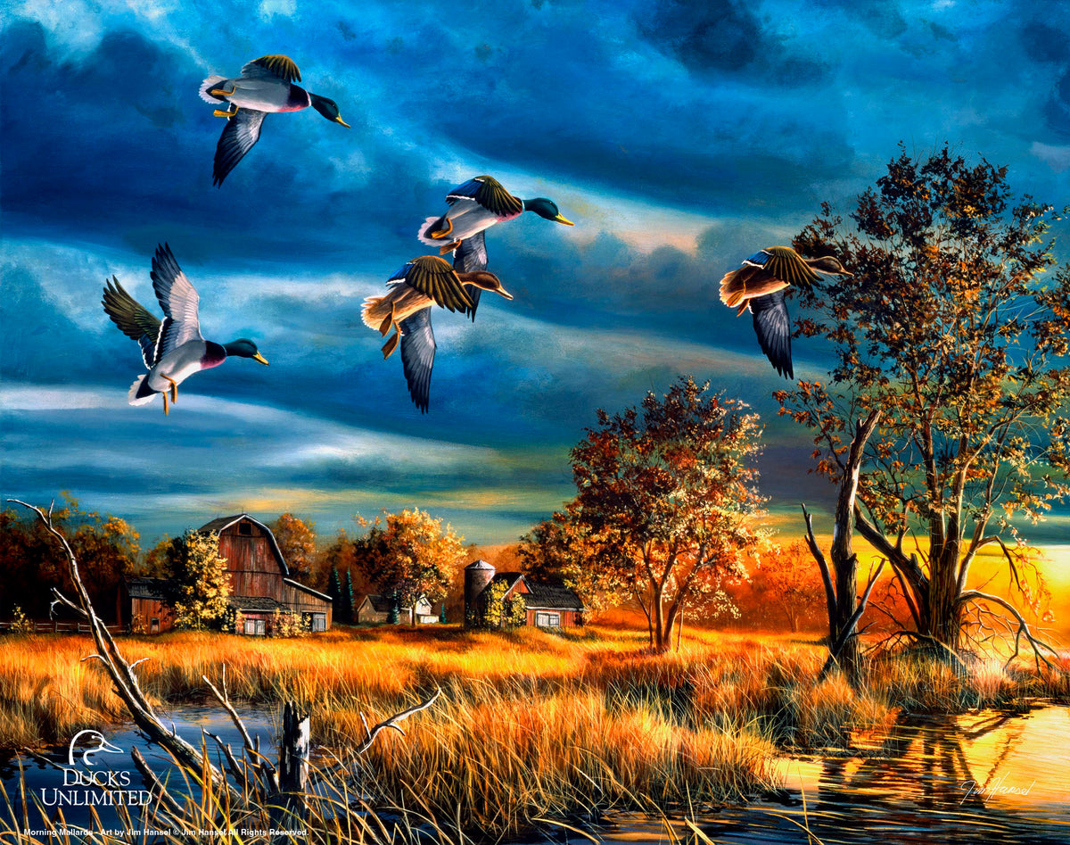Morning Mallards Art Prints - Official Ducks Unlimited Art
