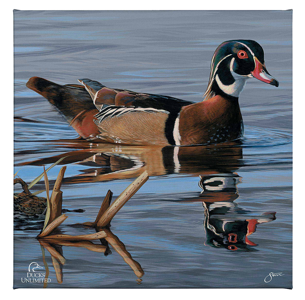 Morning Stroll Gallery Wrapped Canvas - Official Ducks Unlimited Art