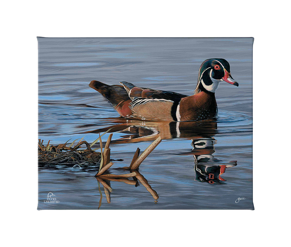 Morning Stroll Gallery Wrapped Canvas - Official Ducks Unlimited Art