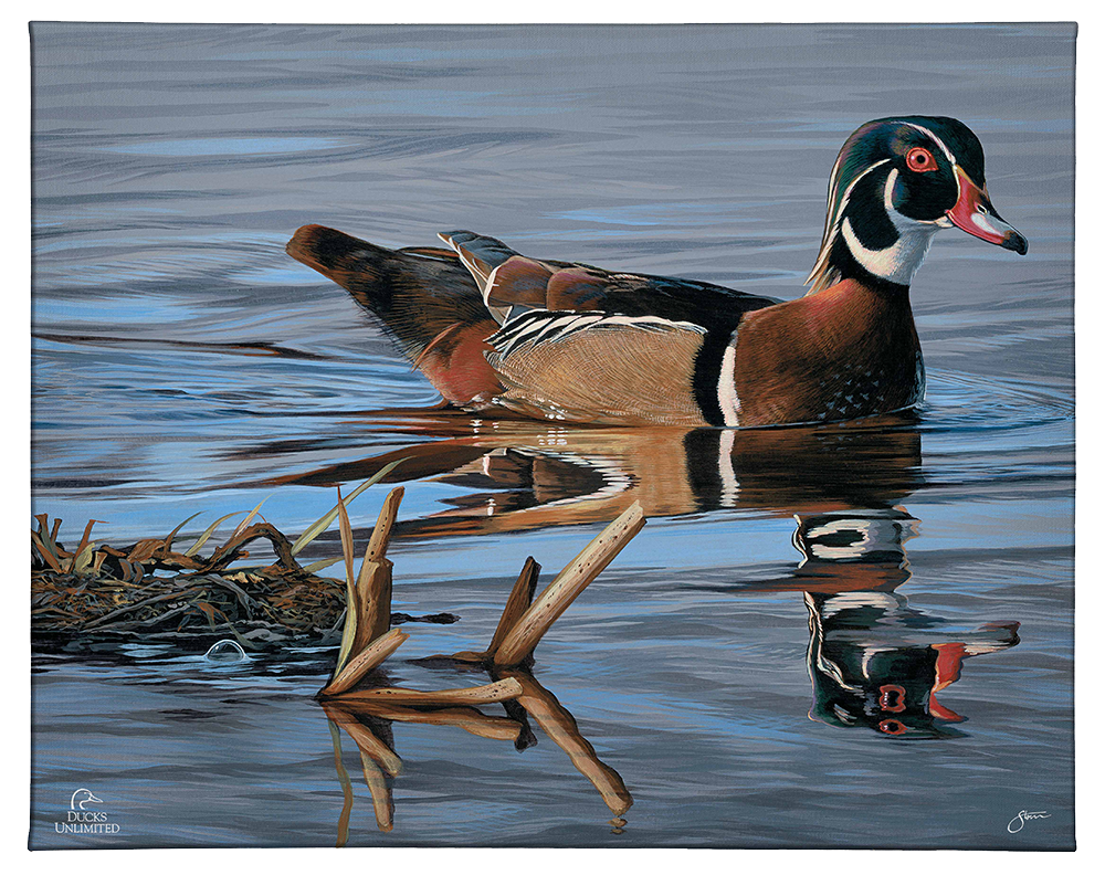Morning Stroll Gallery Wrapped Canvas - Official Ducks Unlimited Art