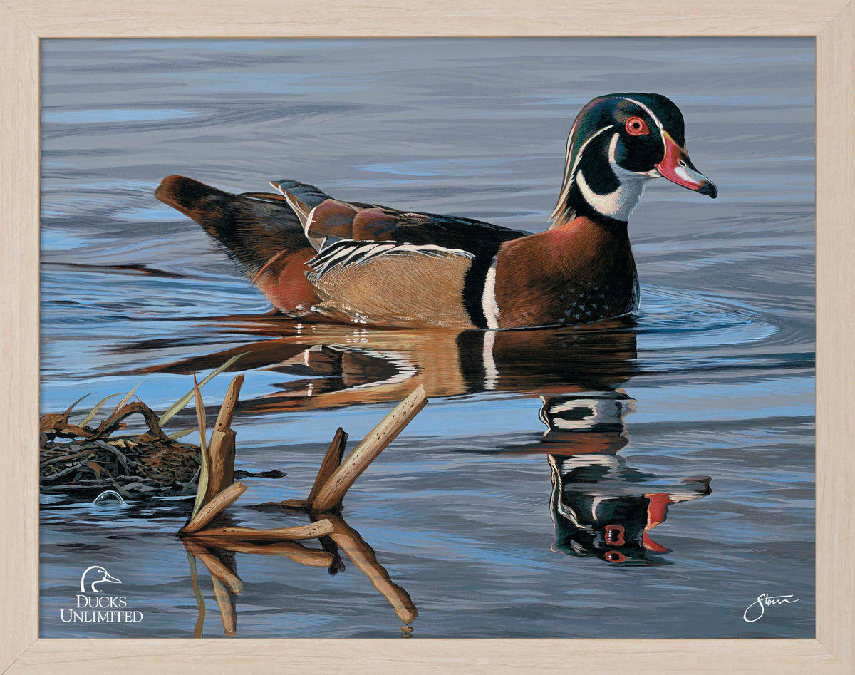 Morning Stroll Art Prints - Official Ducks Unlimited Art