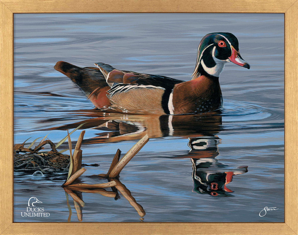 Morning Stroll Art Prints - Official Ducks Unlimited Art