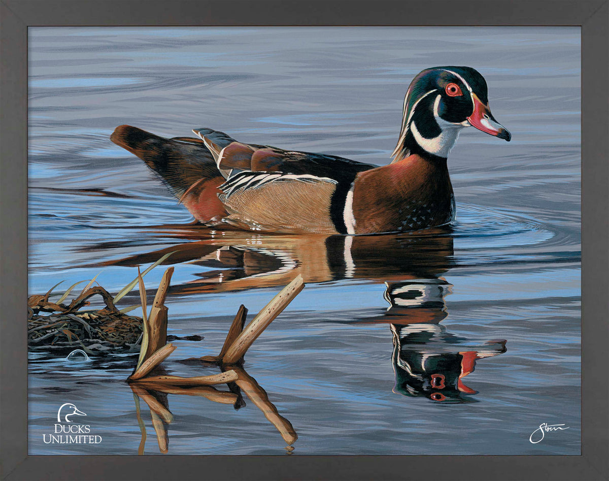 Morning Stroll Art Prints - Official Ducks Unlimited Art
