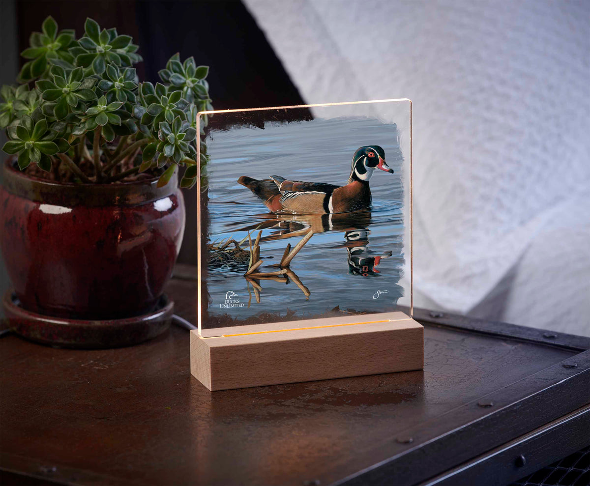 Morning Stroll 6.37" x 6" Acrylic Night Light - Official Ducks Unlimited Art