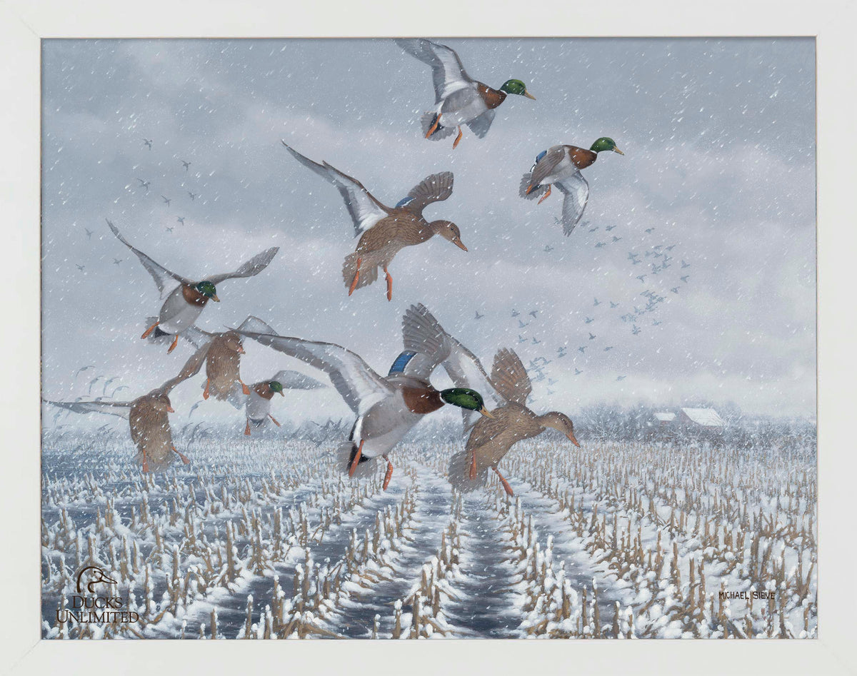 Northern  Flight - Mallards Art Prints - Official Ducks Unlimited Art