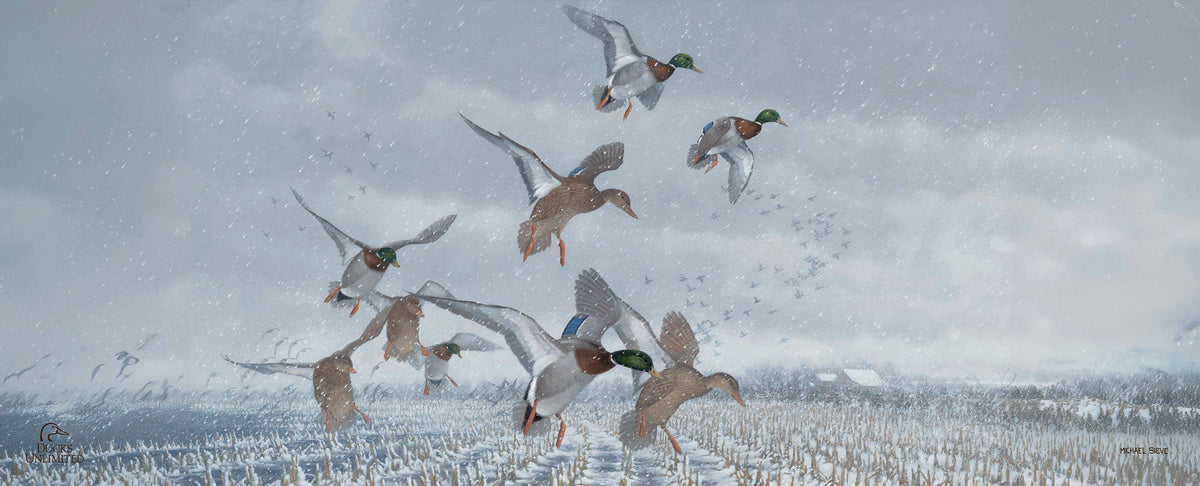 Northern  Flight  12" x 30" Wood Sign - Official Ducks Unlimited Art