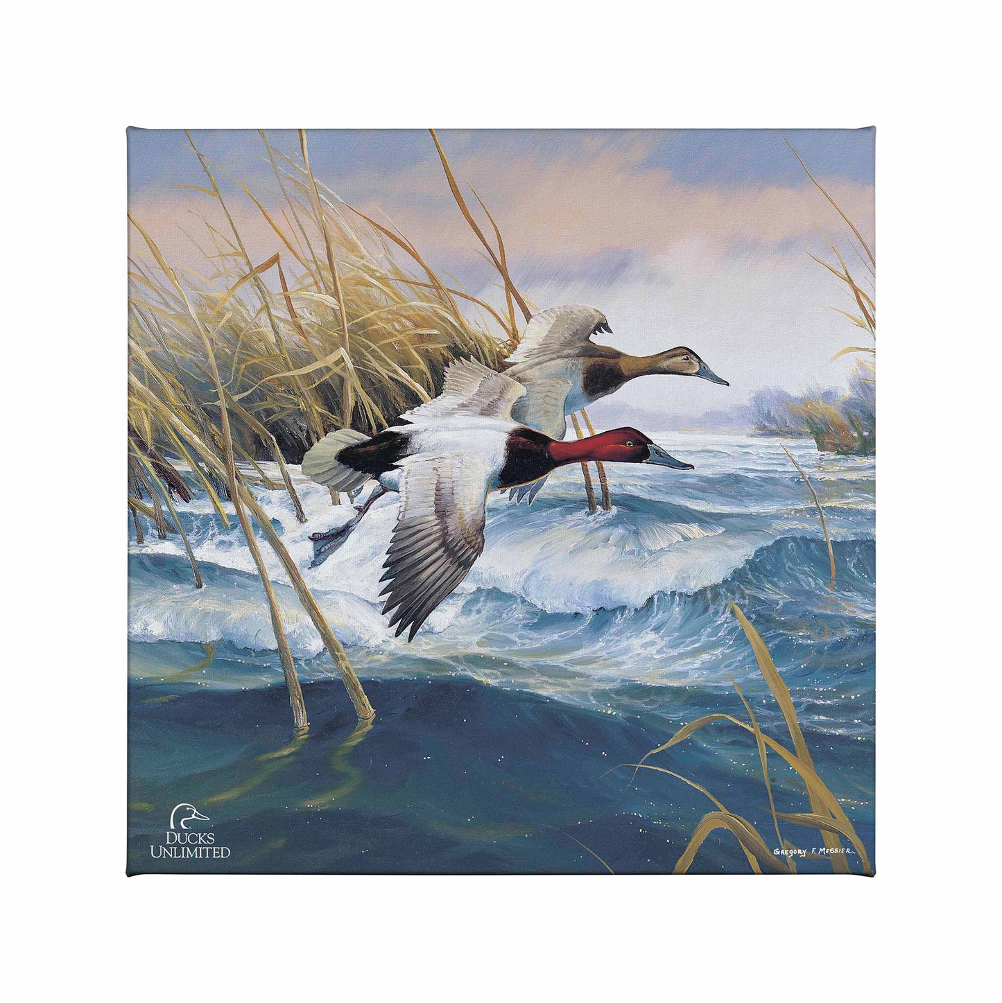 On the Deck Canvasbacks Gallery Wrapped Canvas - Official Ducks Unlimited Art