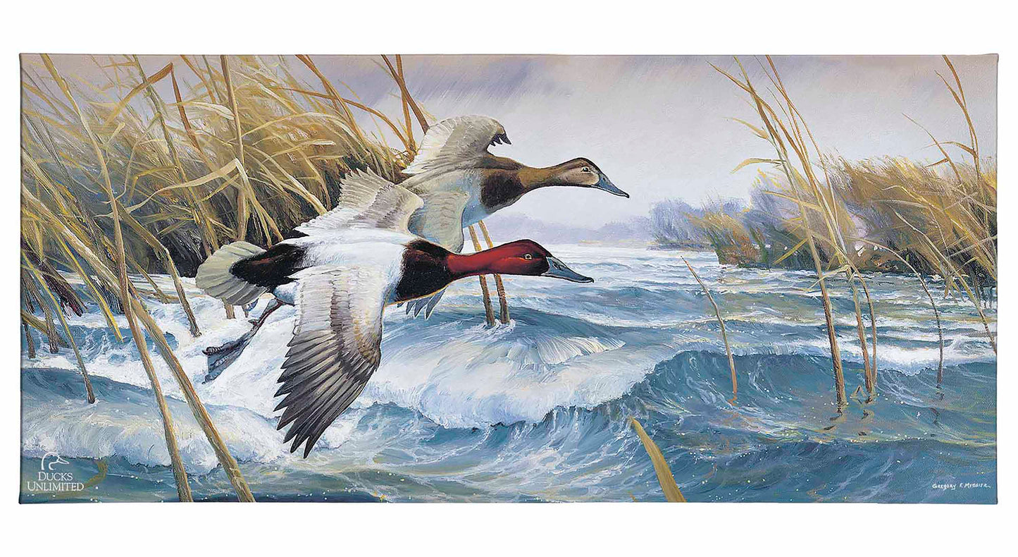 On the Deck Canvasbacks Gallery Wrapped Canvas - Official Ducks Unlimited Art