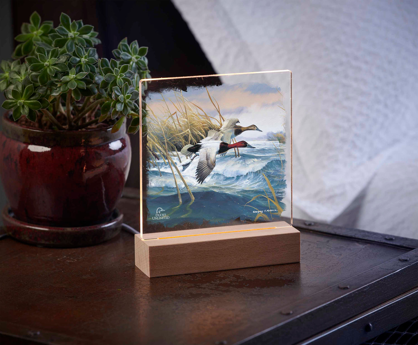 On the Deck  Canvasbacks  Acrylic Night Light - Official Ducks Unlimited Art