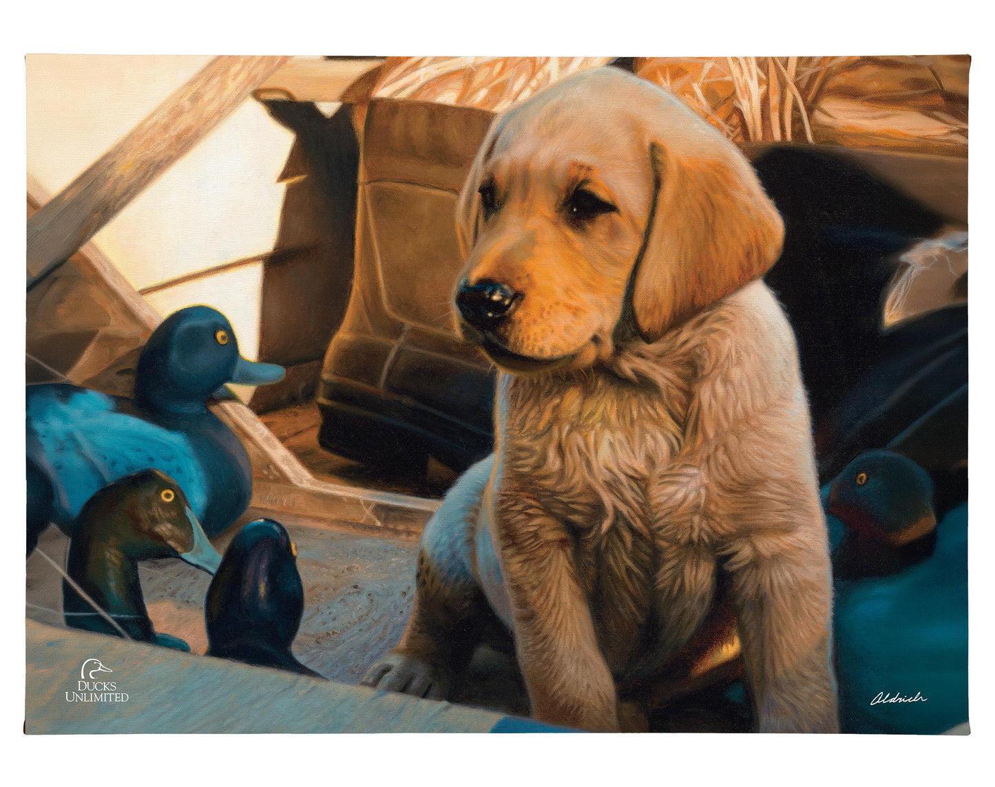 Out Numbered & Surrounded Gallery Wrapped Canvas - Official Ducks Unlimited Art