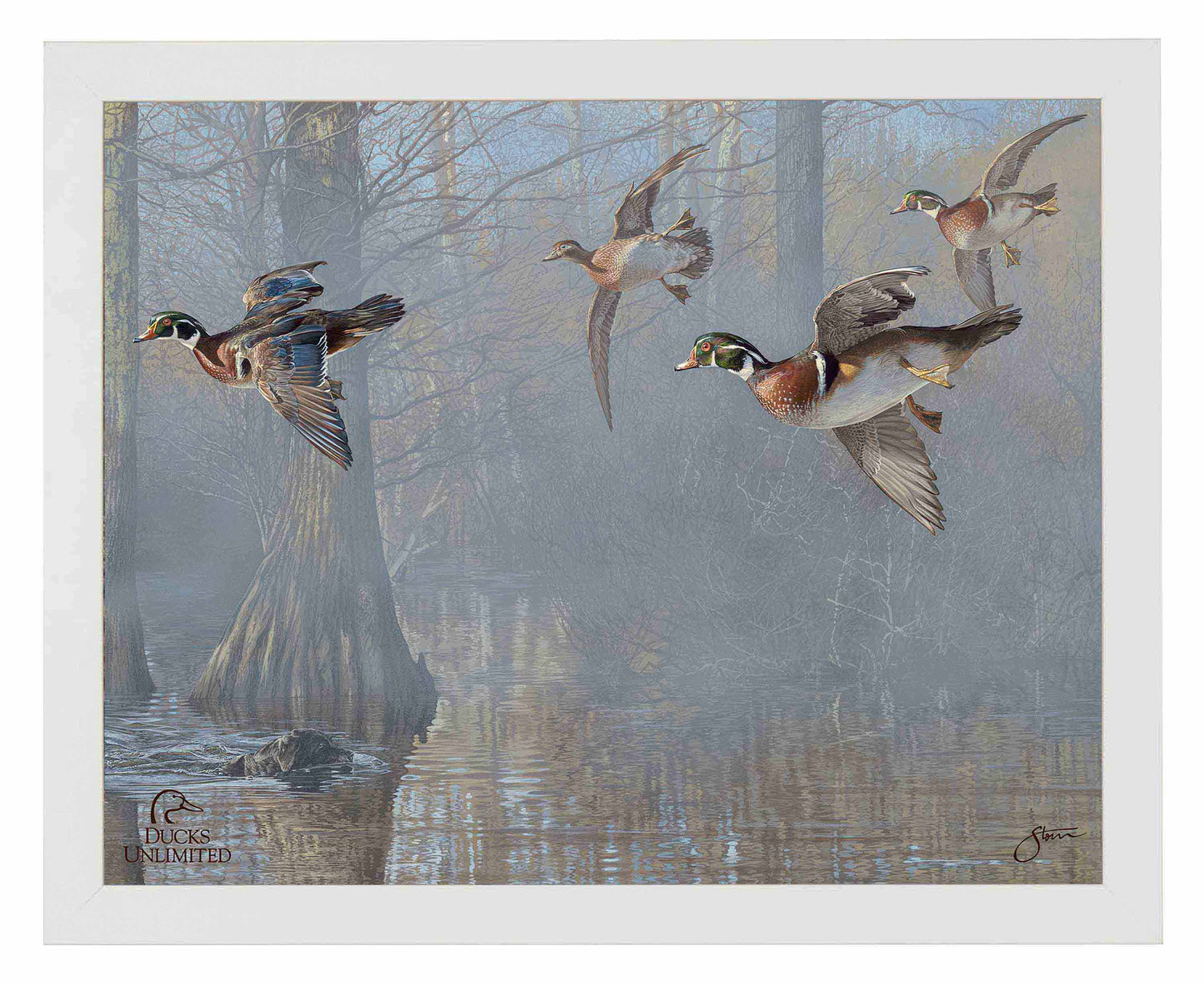 Out of the Mist - Wood Ducks Art Prints - Official Ducks Unlimited Art