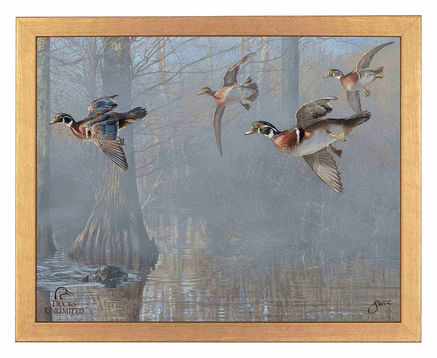 Out of the Mist - Wood Ducks Art Prints - Official Ducks Unlimited Art