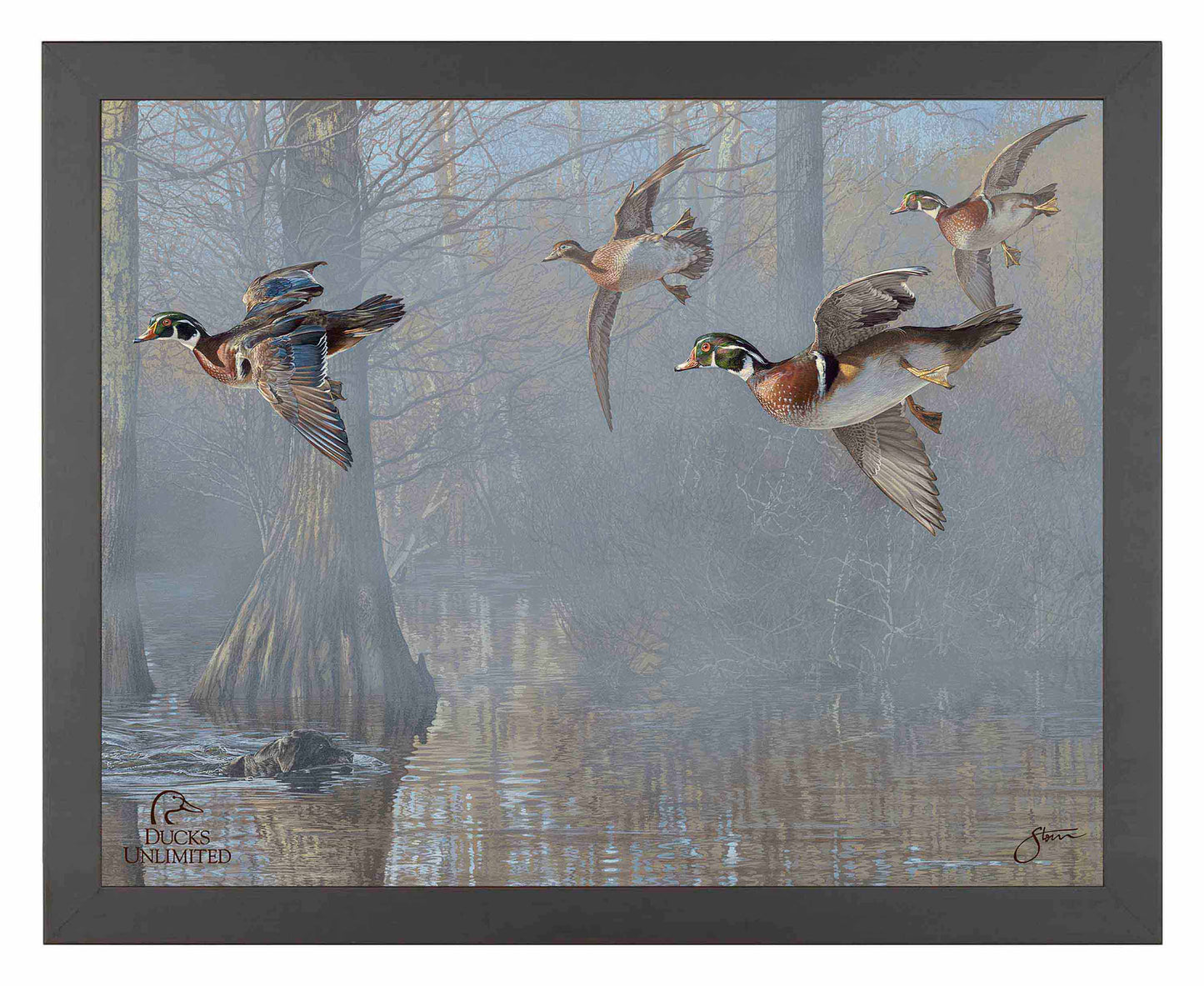 Out of the Mist - Wood Ducks Art Prints - Official Ducks Unlimited Art