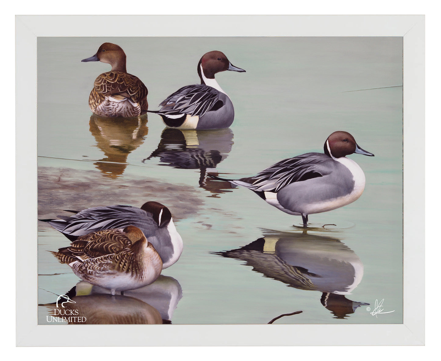Overcast  Art Prints - Official Ducks Unlimited Art