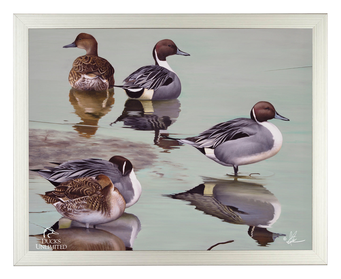 Overcast  Art Prints - Official Ducks Unlimited Art