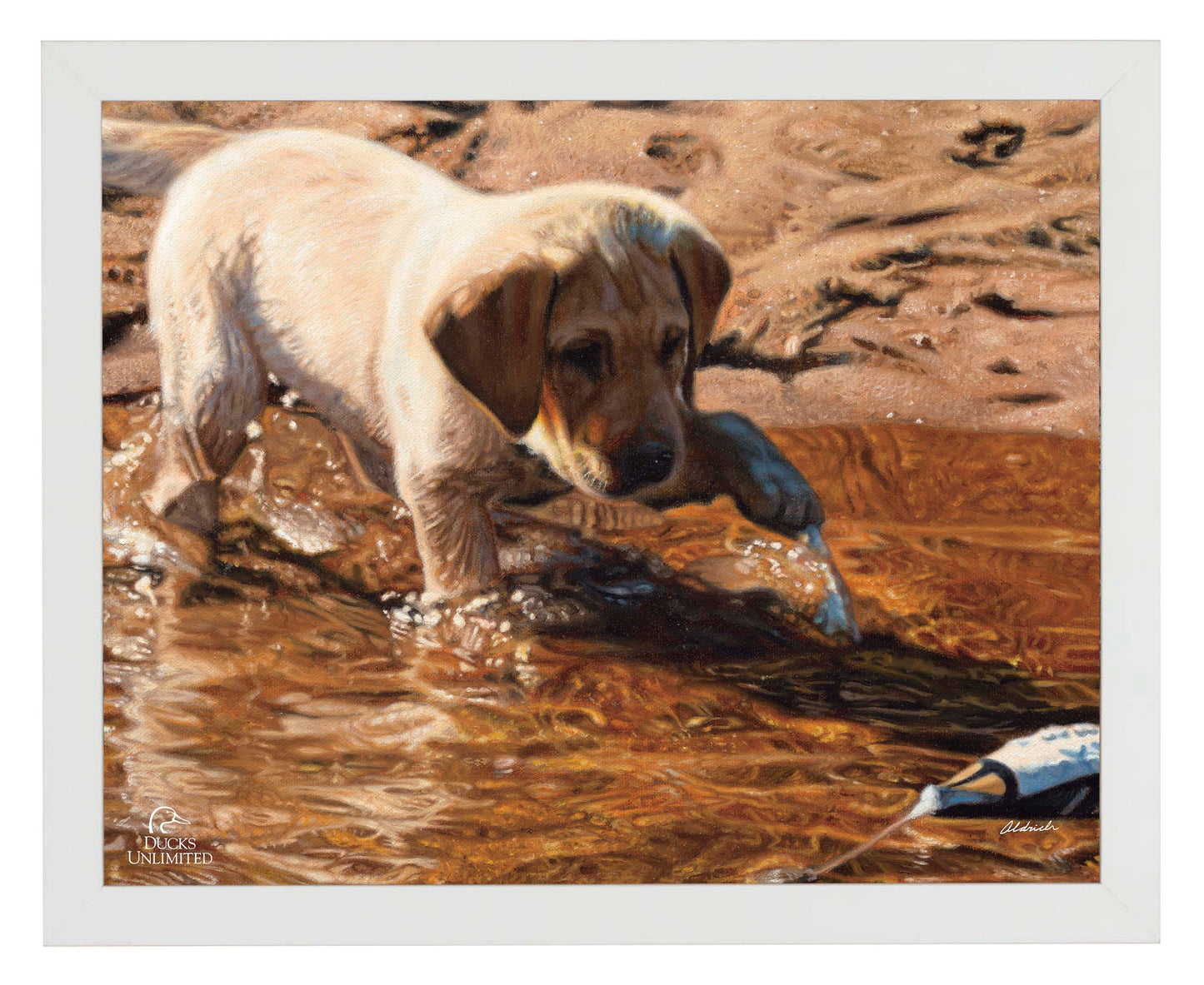 Piddle Paddle Pup  Yellow Lab   Art Prints - Official Ducks Unlimited Art