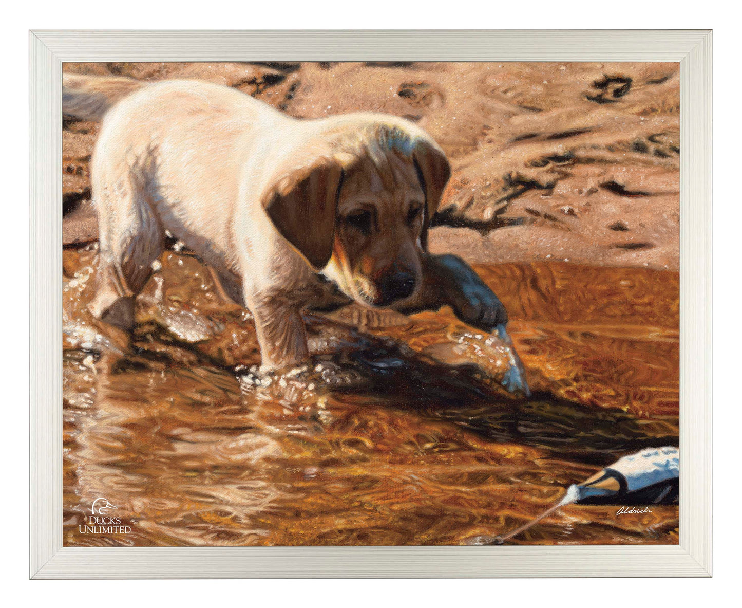 Piddle Paddle Pup  Yellow Lab   Art Prints - Official Ducks Unlimited Art