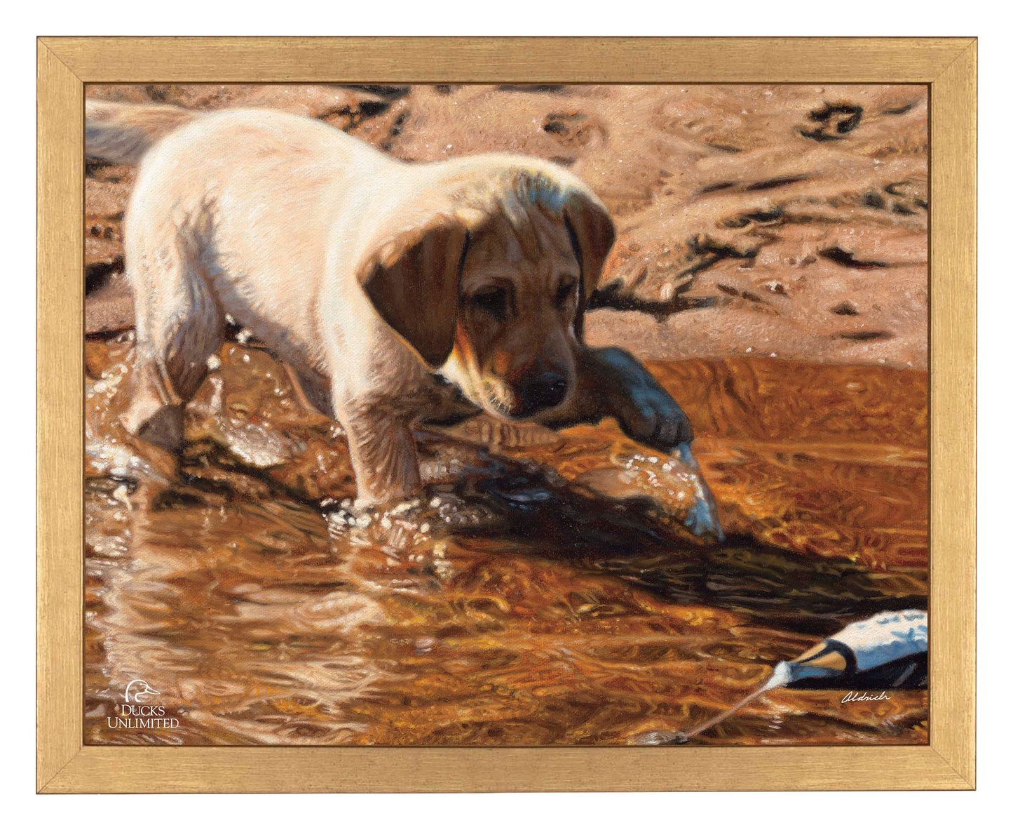 Piddle Paddle Pup  Yellow Lab   Art Prints - Official Ducks Unlimited Art