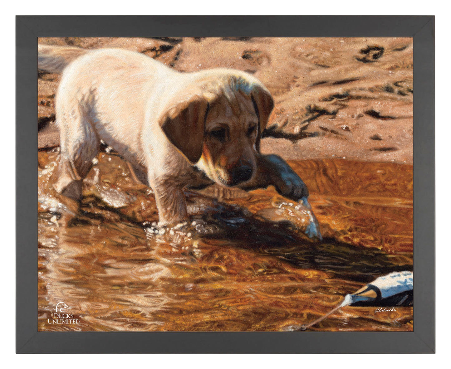 Piddle Paddle Pup  Yellow Lab   Art Prints - Official Ducks Unlimited Art