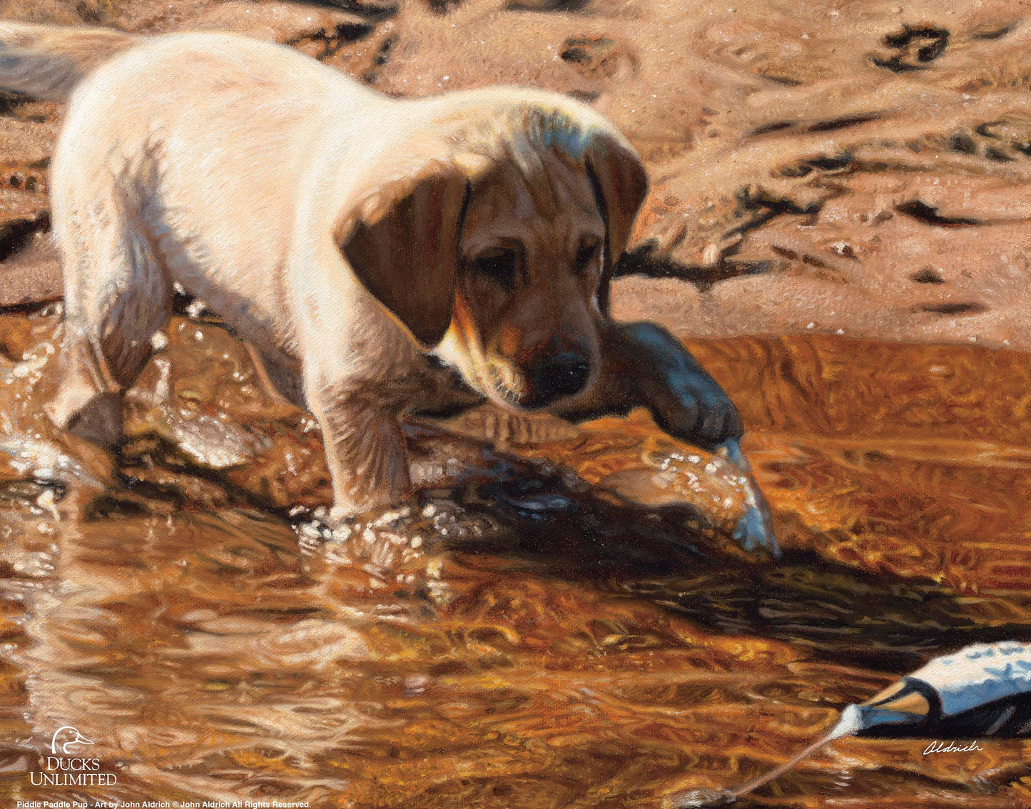 Piddle Paddle Pup  Yellow Lab   Art Prints - Official Ducks Unlimited Art