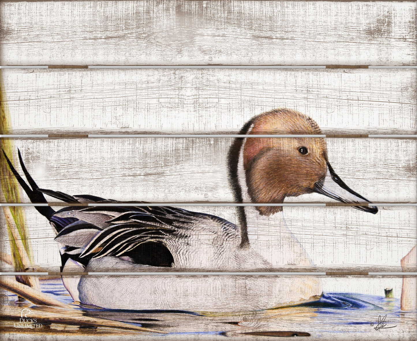 Pintail  18" x 22" Pallet Wall Art - Official Ducks Unlimited Art