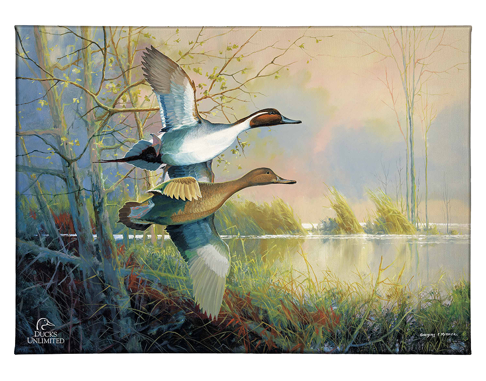 Pintails Gallery Wrapped Canvas - Official Ducks Unlimited Art