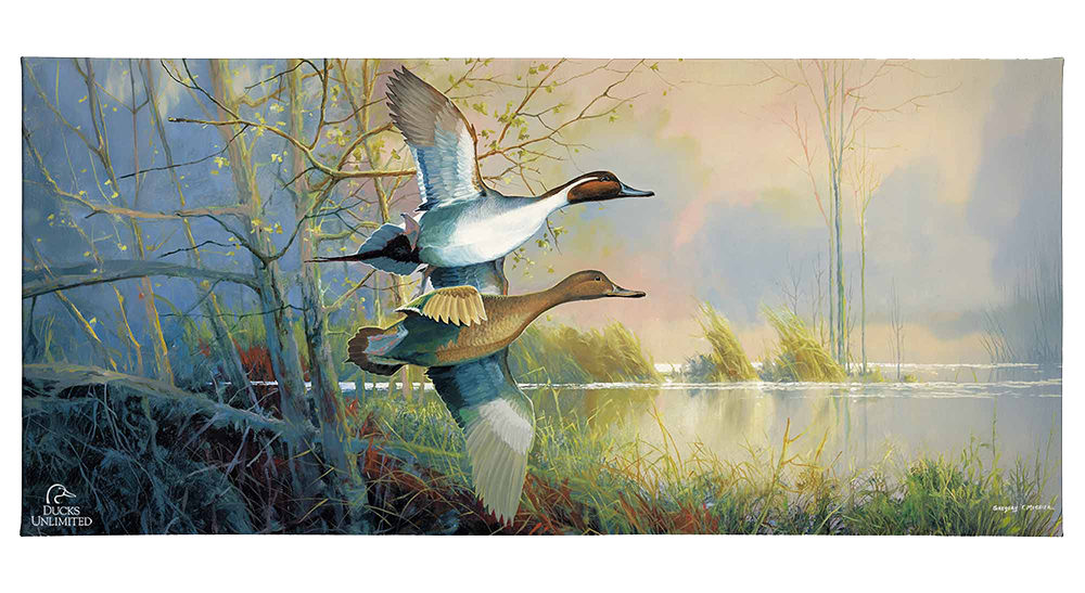 Pintails Gallery Wrapped Canvas - Official Ducks Unlimited Art