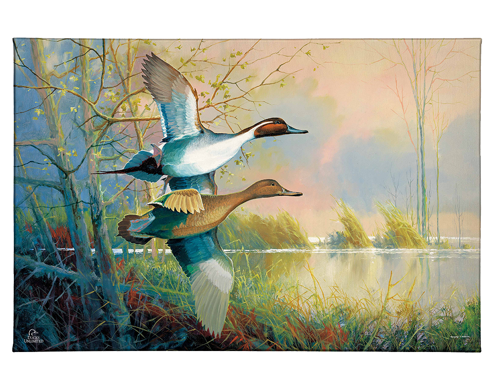 Pintails Gallery Wrapped Canvas - Official Ducks Unlimited Art