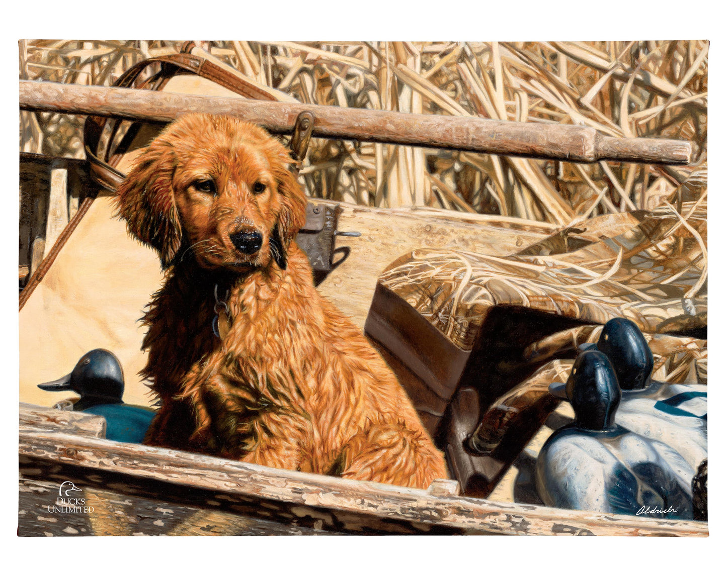 Pup Commander Golden Retriever Gallery Wrapped Canvas - Official Ducks Unlimited Art