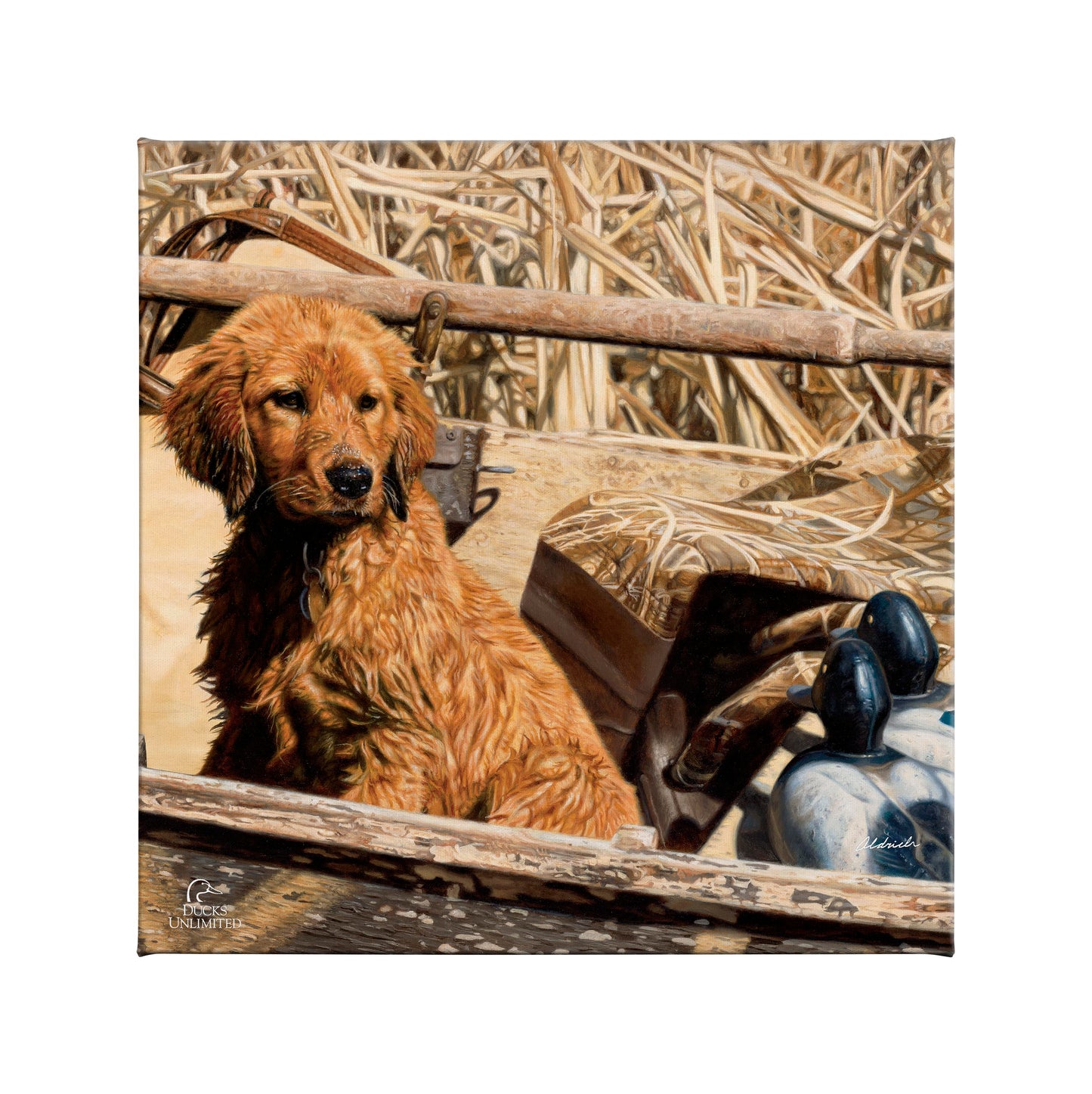 Pup Commander Golden Retriever Gallery Wrapped Canvas - Official Ducks Unlimited Art