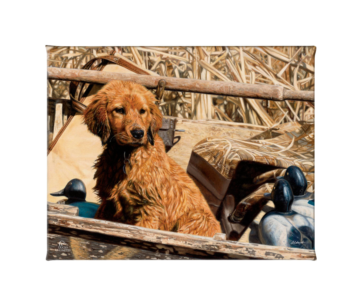 Pup Commander Golden Retriever Gallery Wrapped Canvas - Official Ducks Unlimited Art