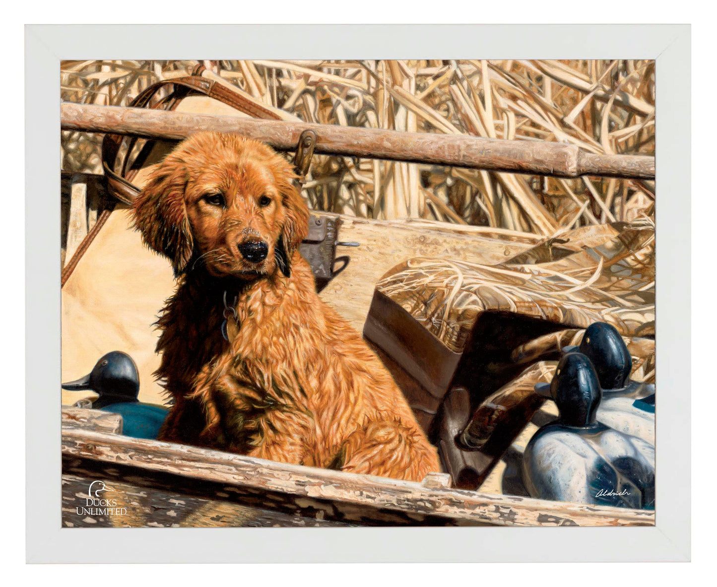 Pup Commander  Golden Retriever  Art Prints - Official Ducks Unlimited Art