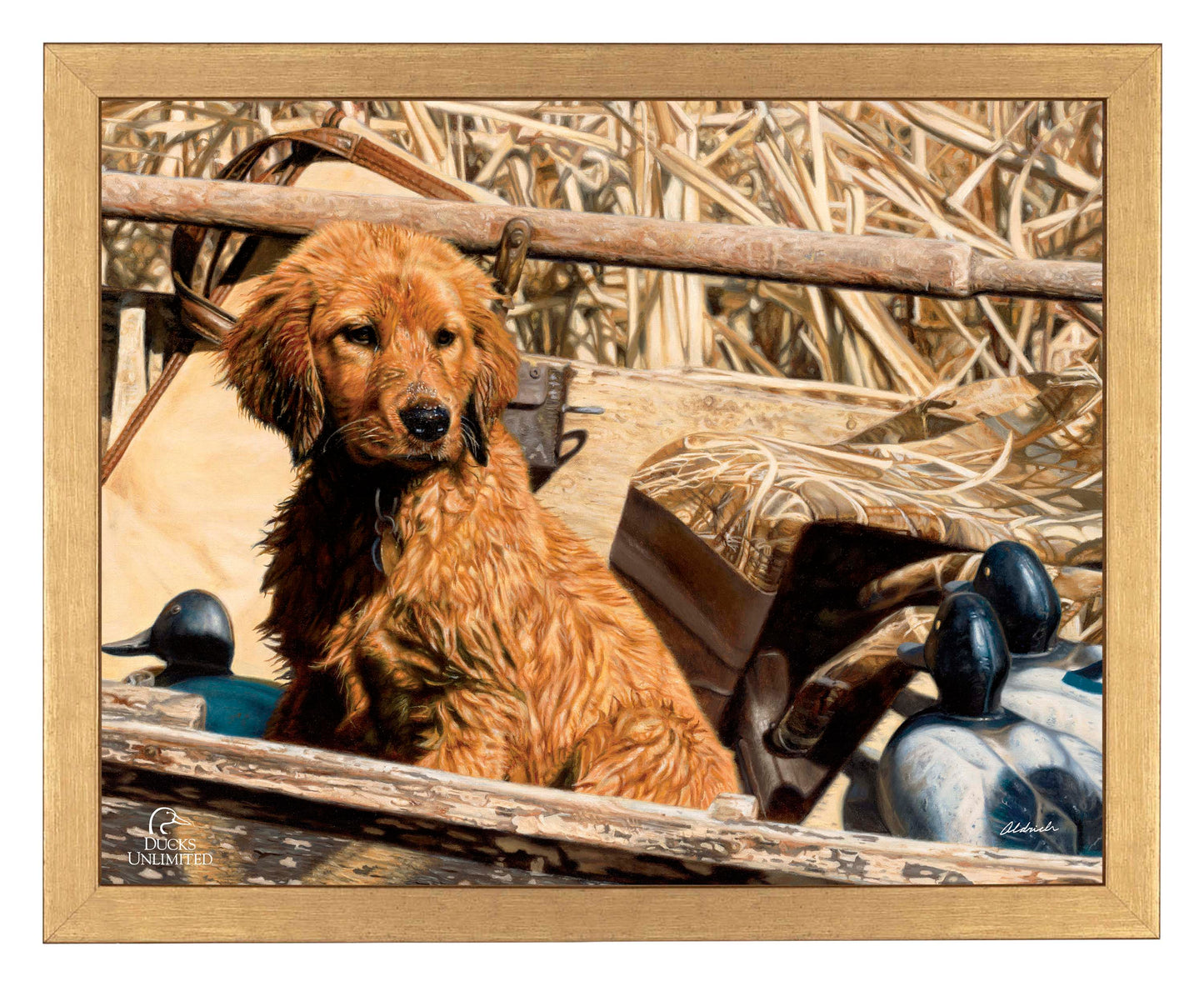Pup Commander  Golden Retriever  Art Prints - Official Ducks Unlimited Art