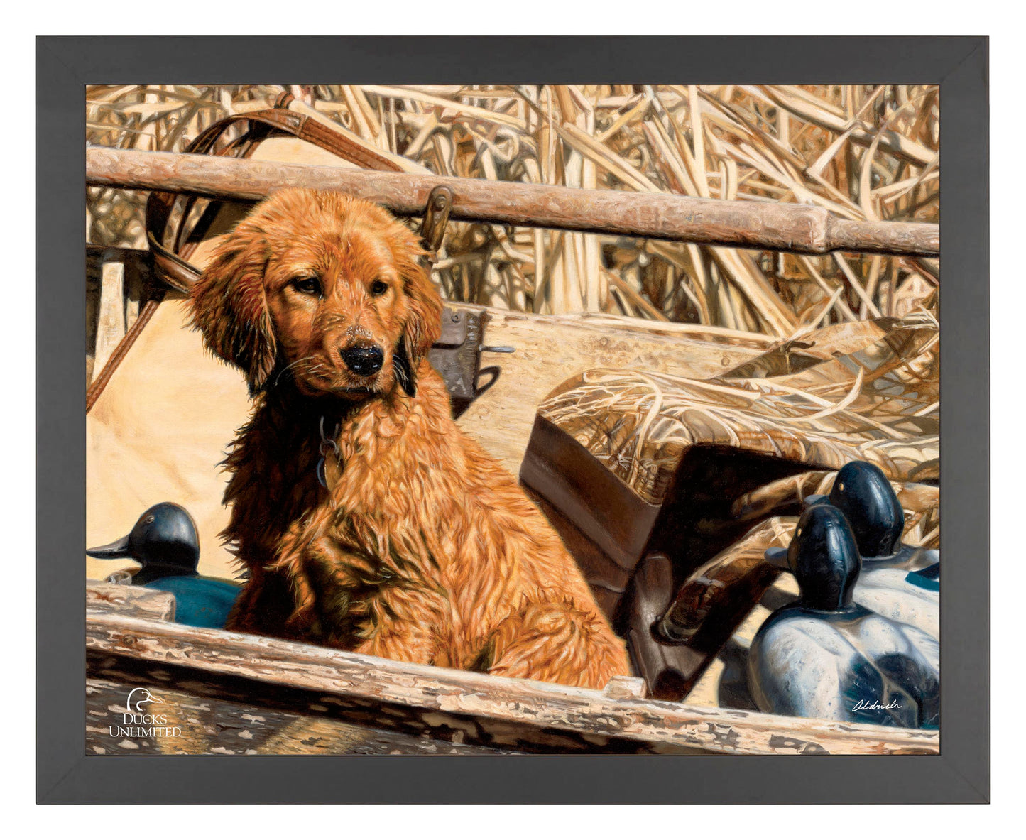 Pup Commander  Golden Retriever  Art Prints - Official Ducks Unlimited Art