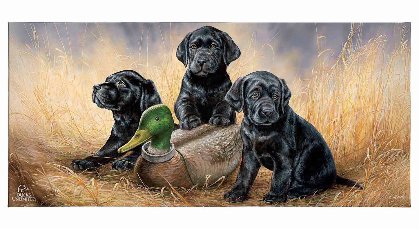 Ready for Class - Black Lab Puppies Gallery Wrapped Canvas - Official Ducks Unlimited Art