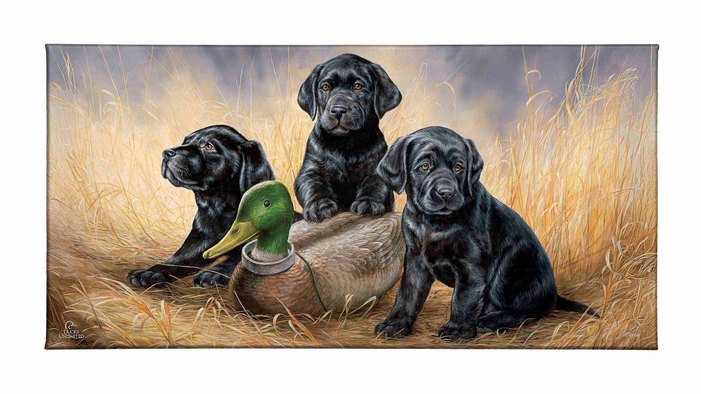 Ready for Class - Black Lab Puppies Gallery Wrapped Canvas - Official Ducks Unlimited Art