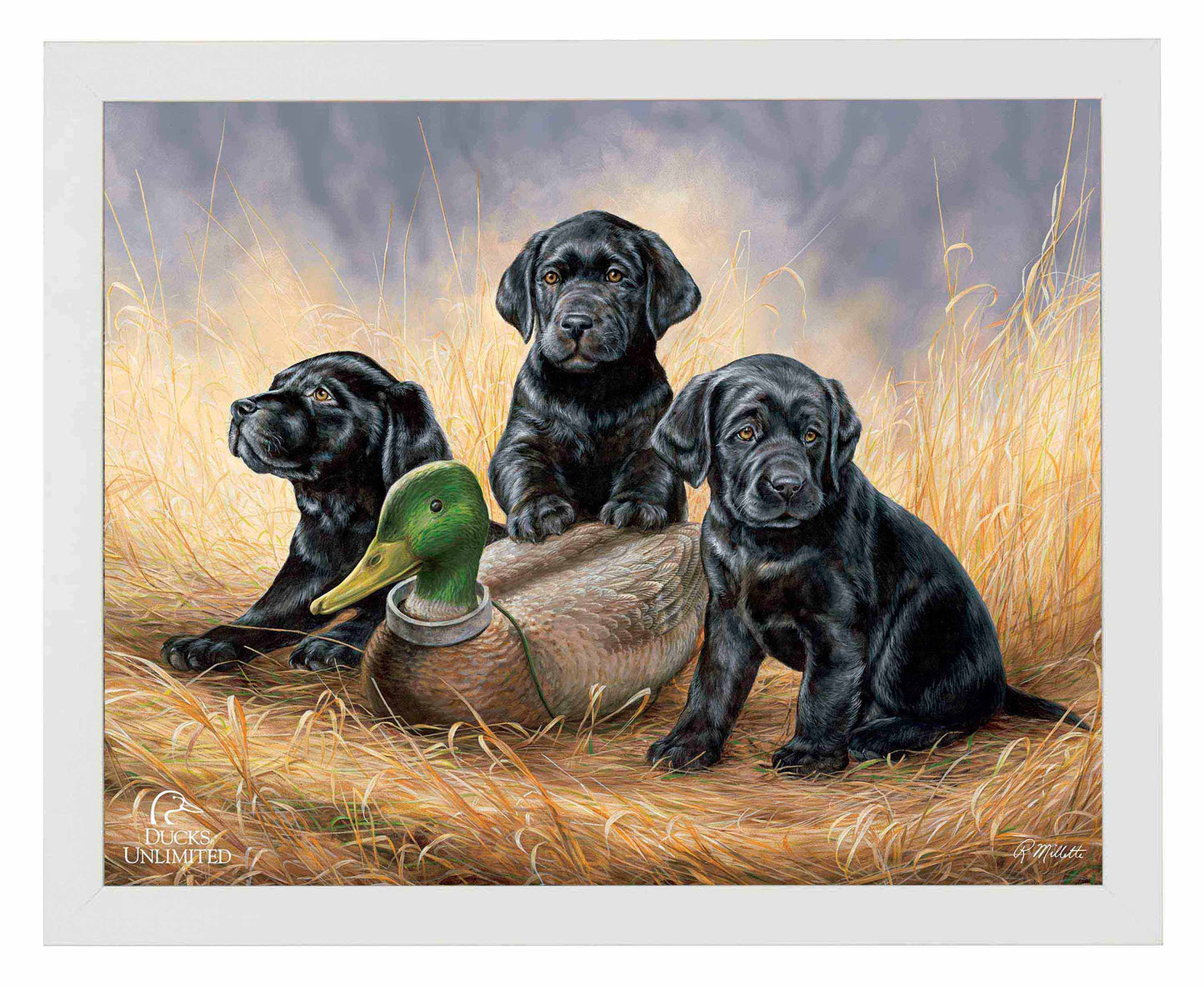 Ready for Class - Black Lab Puppies Art Prints - Official Ducks Unlimited Art