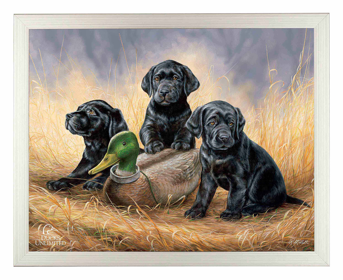 Ready for Class - Black Lab Puppies Art Prints - Official Ducks Unlimited Art