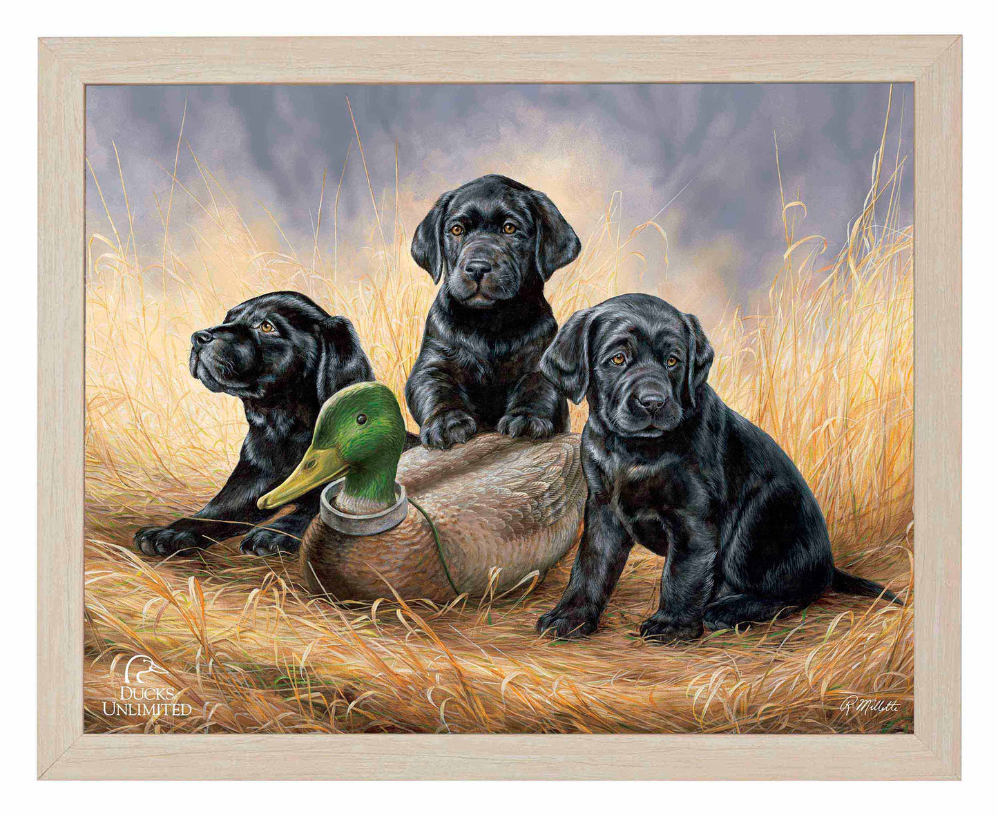 Ready for Class - Black Lab Puppies Art Prints - Official Ducks Unlimited Art